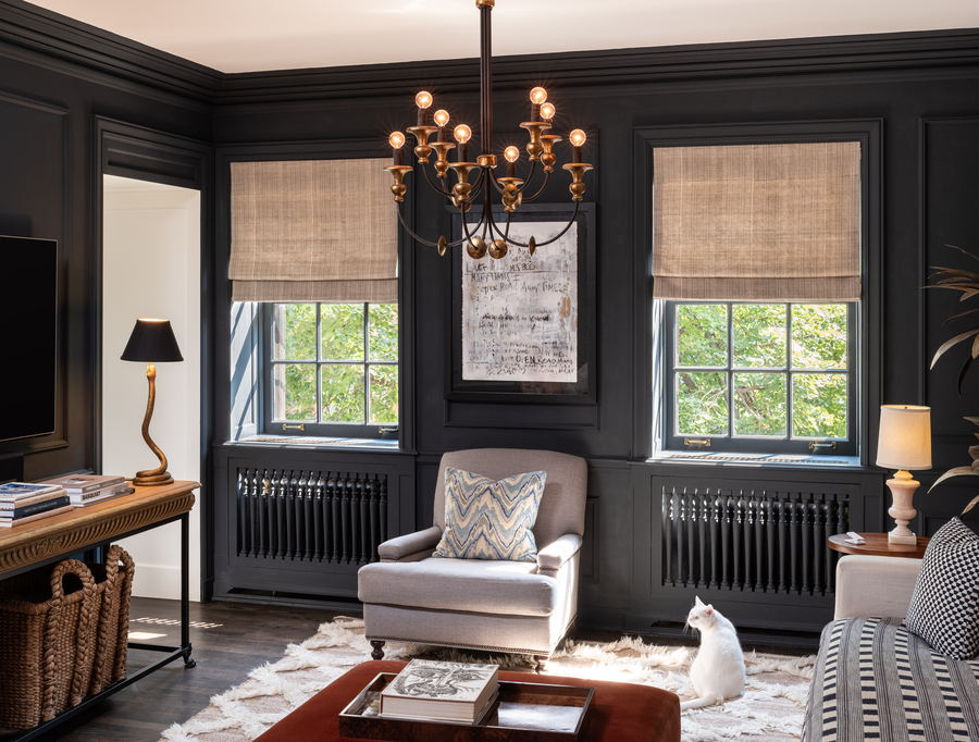 Dark paneled family room with woven roman shades, a brass chandelier, a gray armchair, and a white cat on a layered rug.