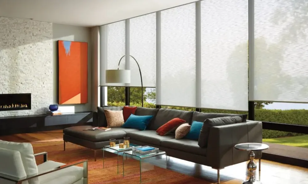 Windows Treatments